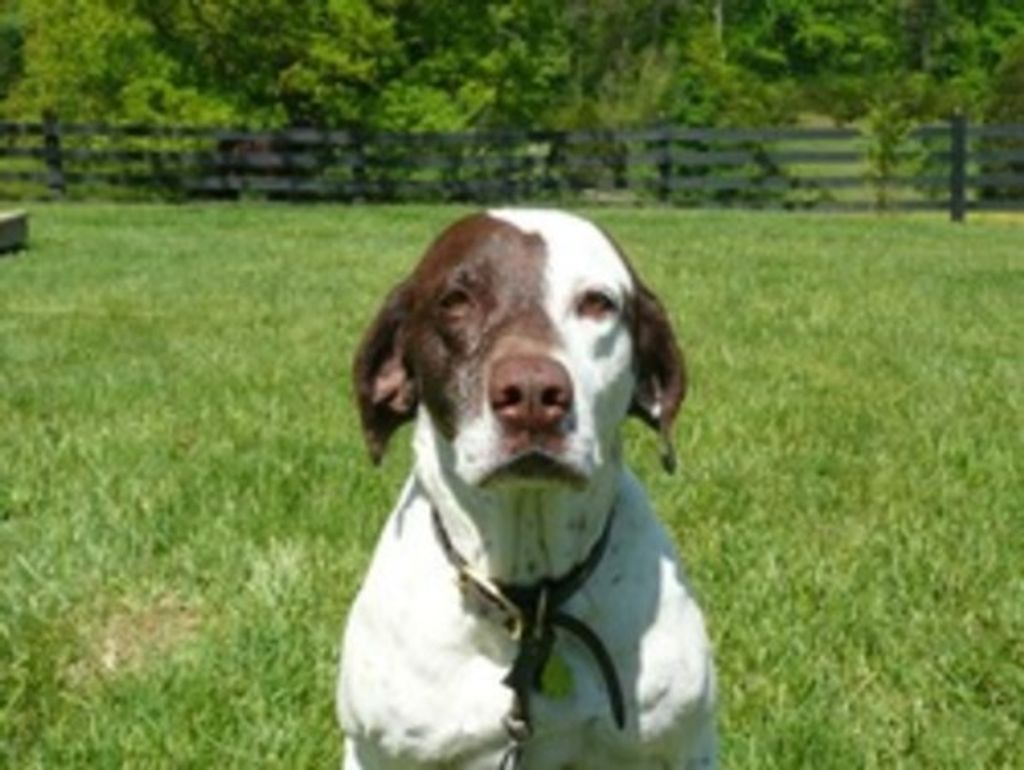 Josie Snyder Profile Photo