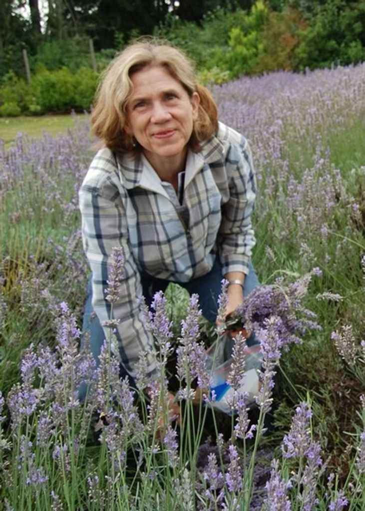 Madie D. Gustafson Profile Photo