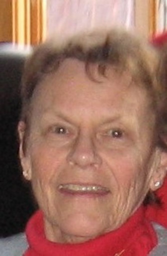 Patricia Jenkins Bird Profile Photo