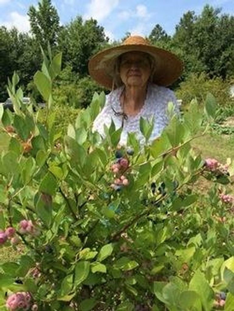 Dorothy Inman