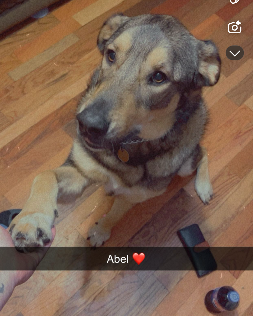 Abel Profile Photo