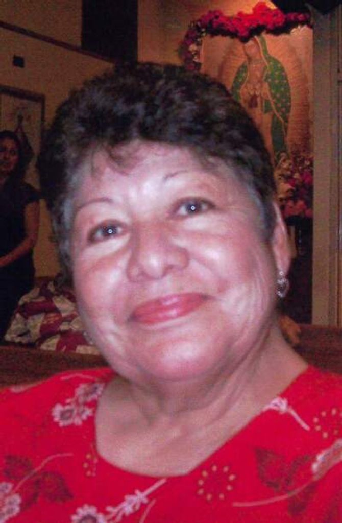 Irma P. Meneses Profile Photo