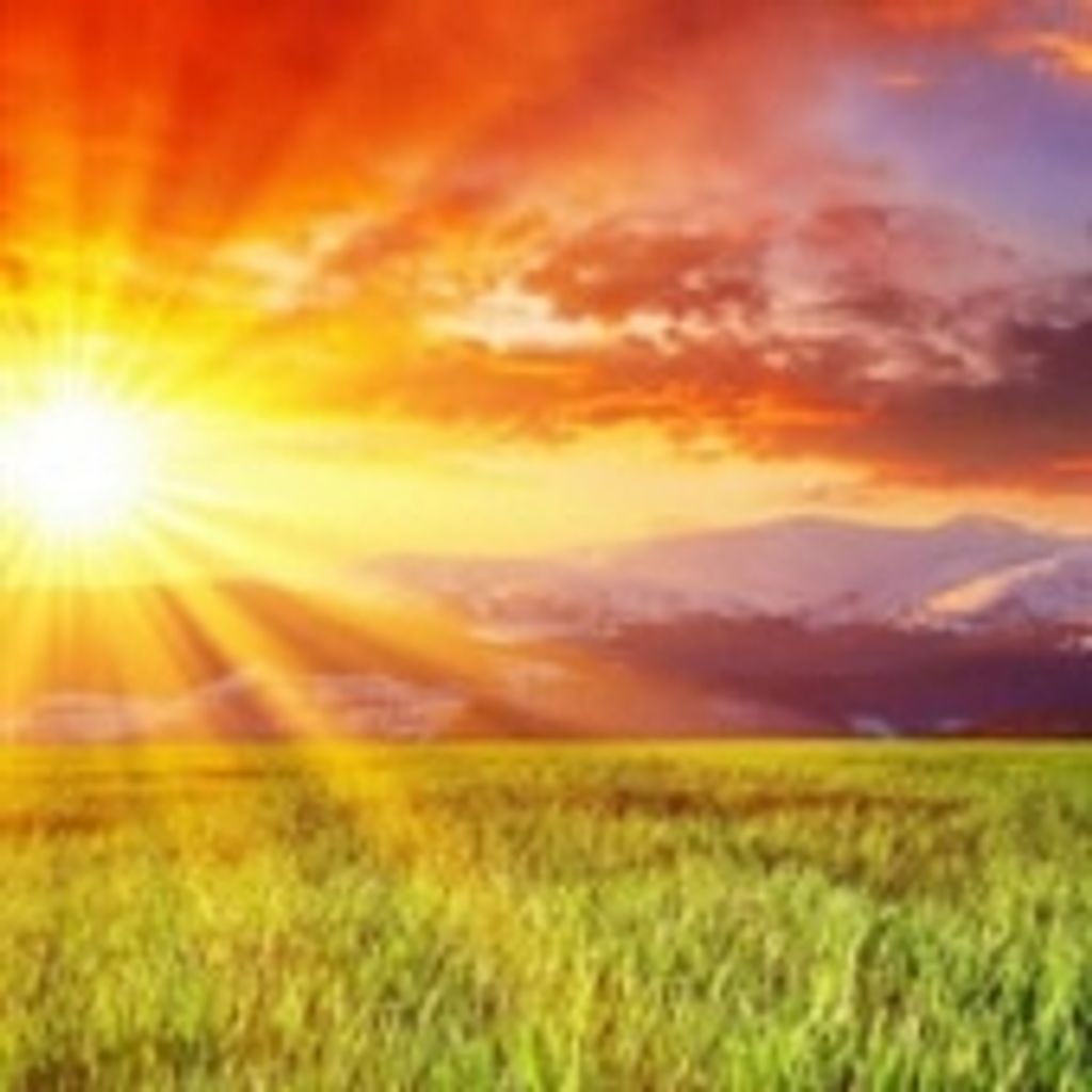 Walker Scott Russell