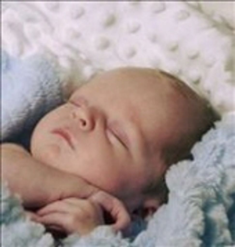 David Michael Joy, Jr. Profile Photo