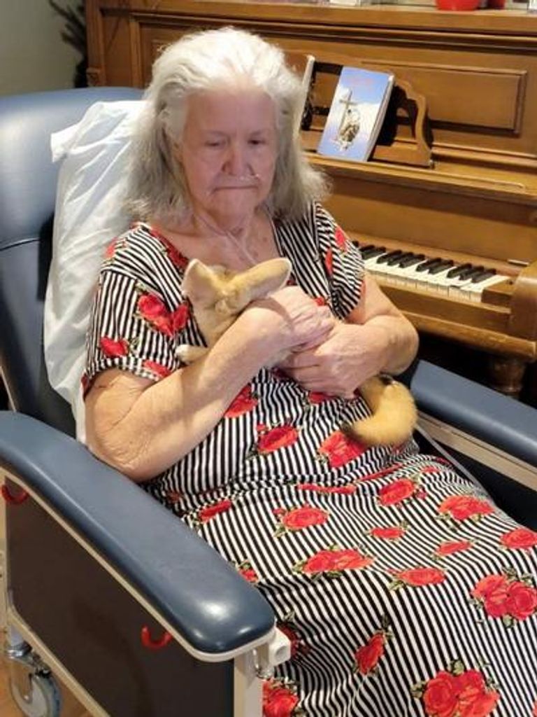 Carolyn Sue Cole Profile Photo