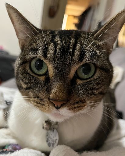 Luna ?'s obituary image