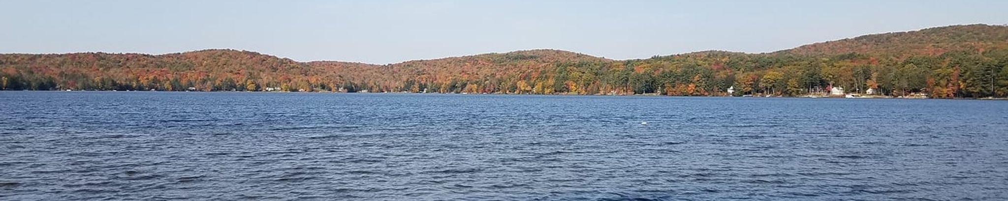 Cover for Amalia M. Cannizzo's Obituary