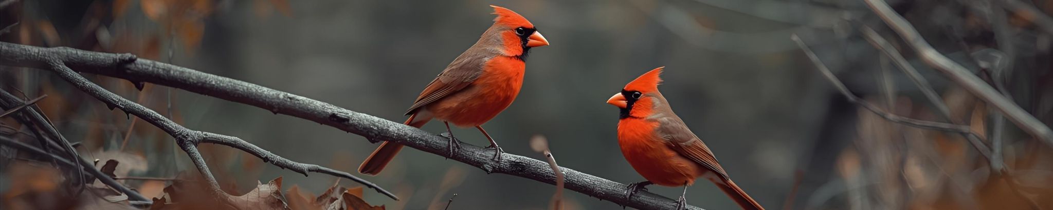 Cover for Gloria Jane Bennett Corn's Obituary