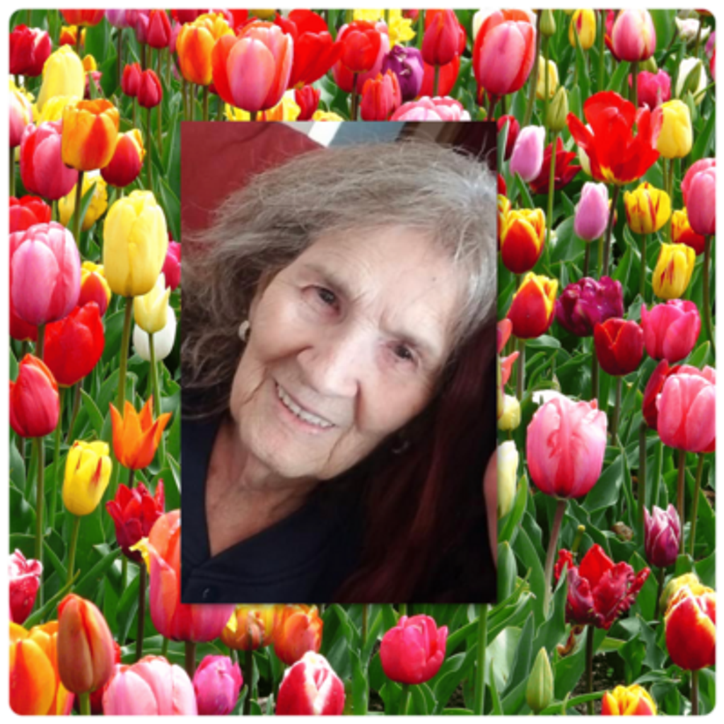 Elaine Campbell Profile Photo