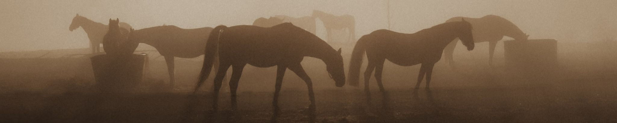 Cover photo for Alex Theodore Kirkpatrick's Obituary