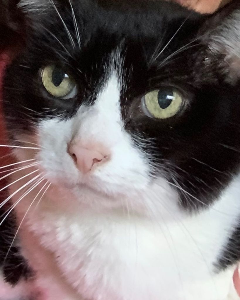 Priscilla Morrow Profile Photo