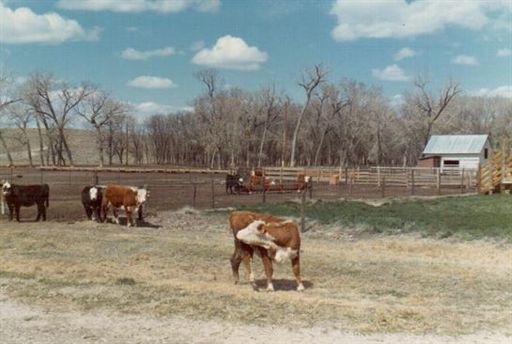 Earl B. Erdman photo gallery thumbnail 14 of 98