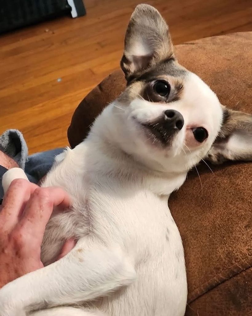 Bean “Beanie Weenie” Burns Profile Photo
