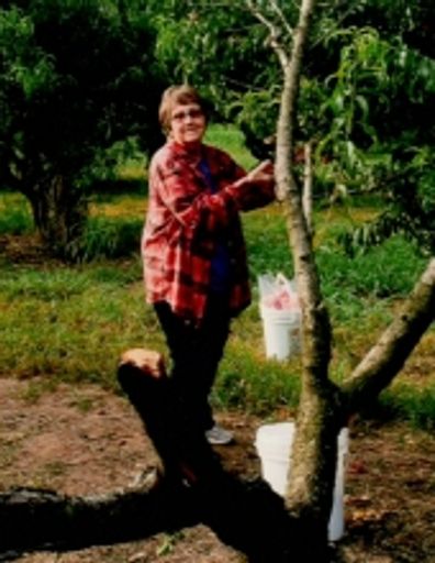 Joyce Staggs Profile Photo