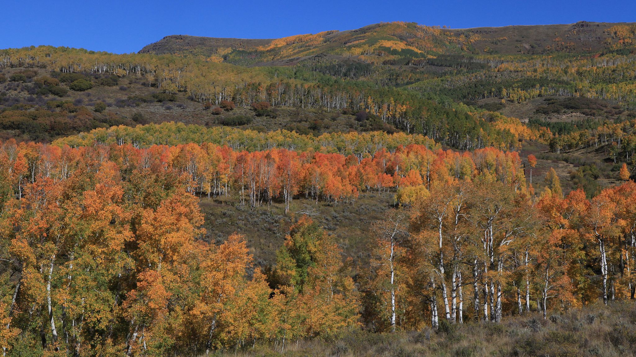 Cover for Lyle Arthur Sawyer's Obituary