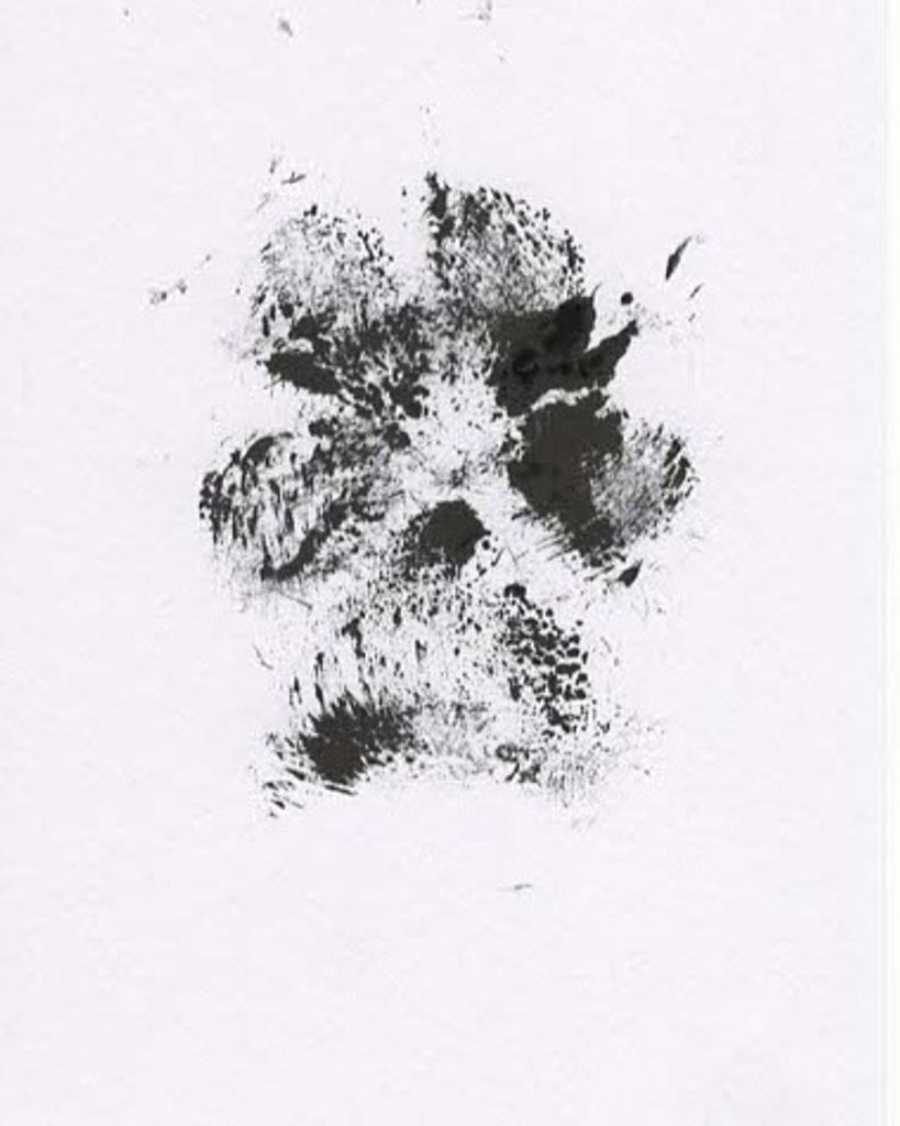 Ranger Olech Profile Photo