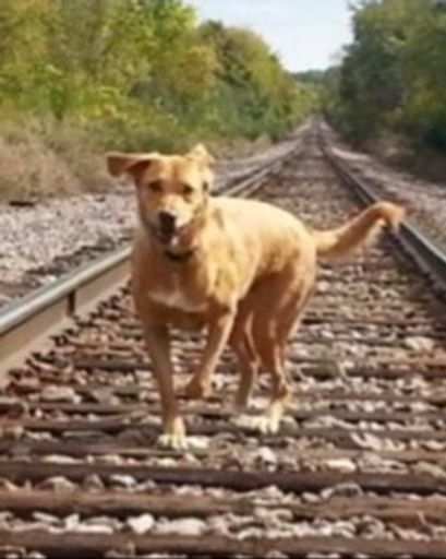 Daisy Lou Kubal's obituary image