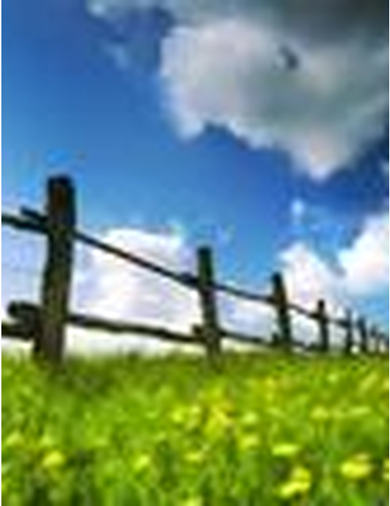 Nancy Lee Flatley Wallner