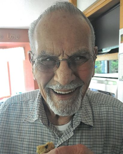 Ronald Owen Novak's obituary image