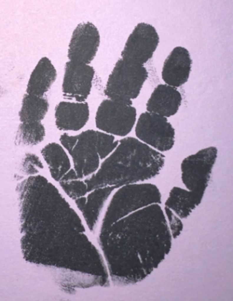 Miller "Millie" June Warner