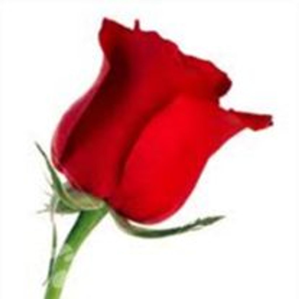 Diniz Almeida Tavares Da Silvz Profile Photo