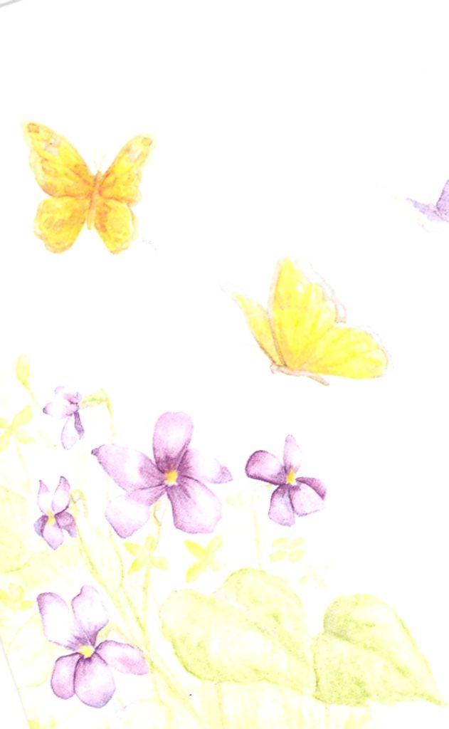 Patricia  Mcguire Chambers