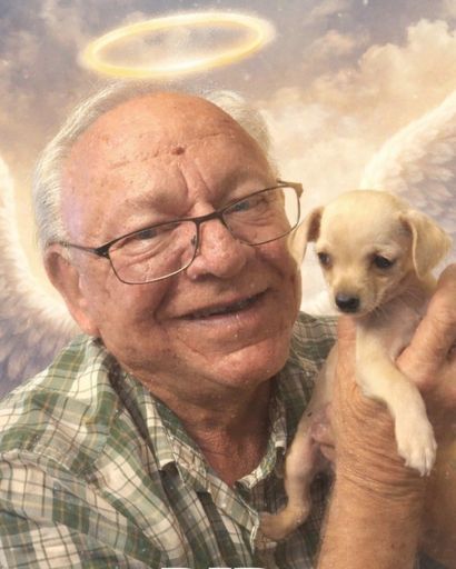 Steven Dennis's obituary image