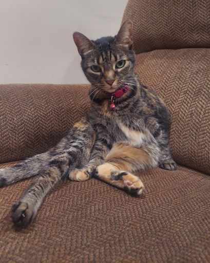 Olivia Garza Lopez ?'s obituary image