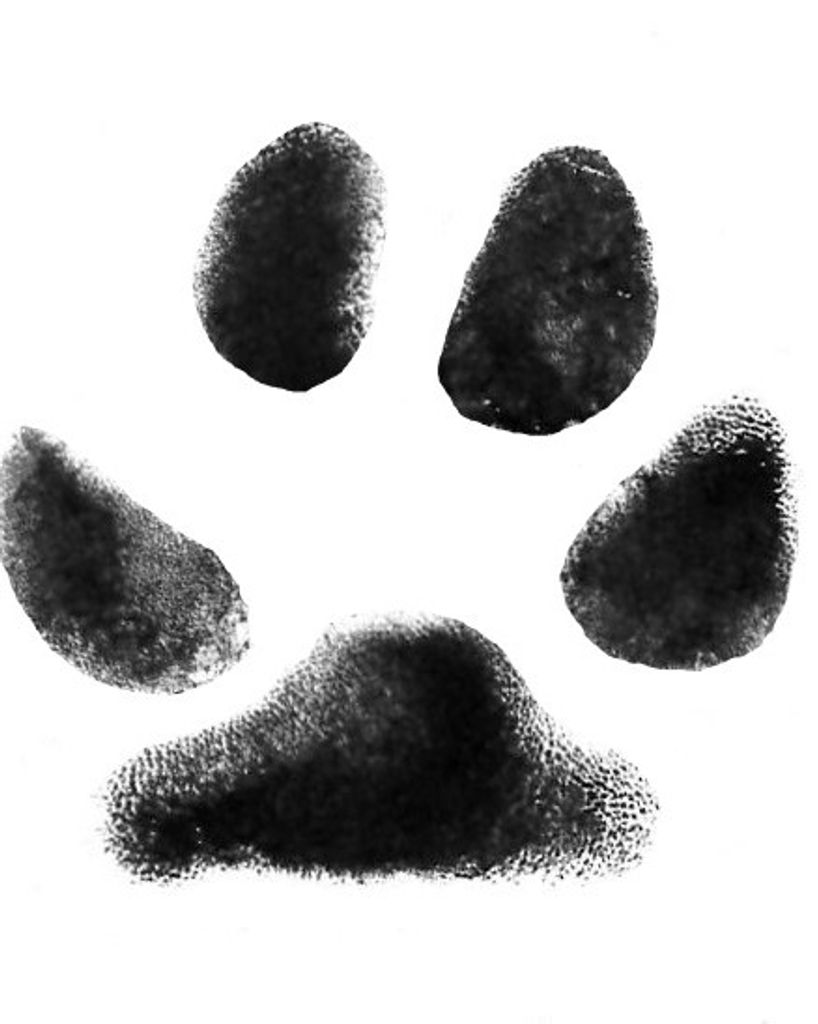 Mystic Dunkley Profile Photo