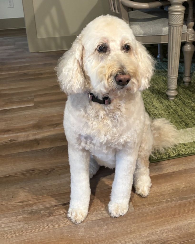 Bella Morris Profile Photo