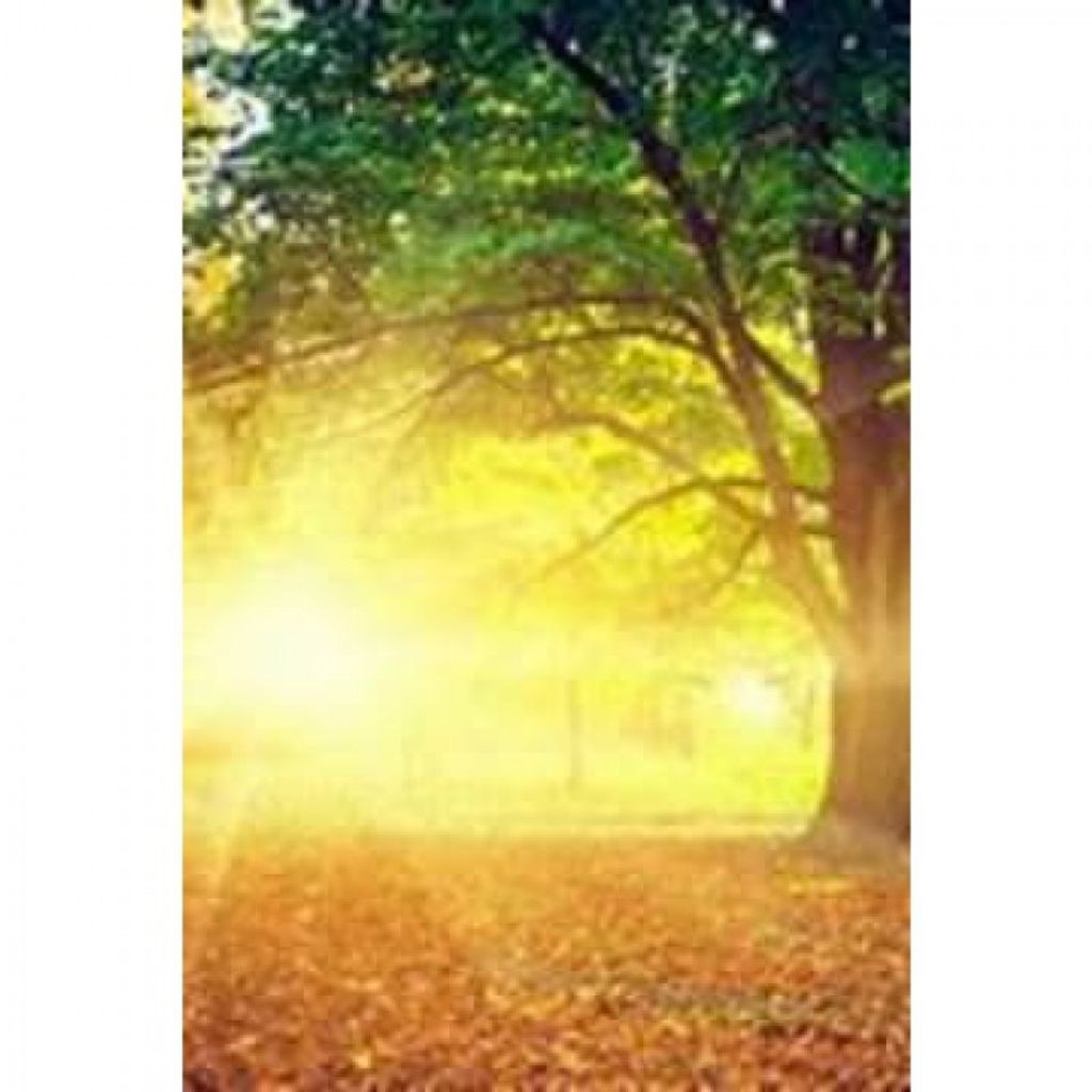 Michael Robert Bowen Profile Photo