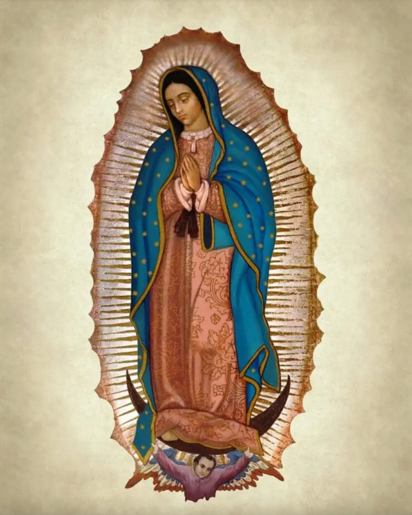 Elvia Figueroa Ochoa