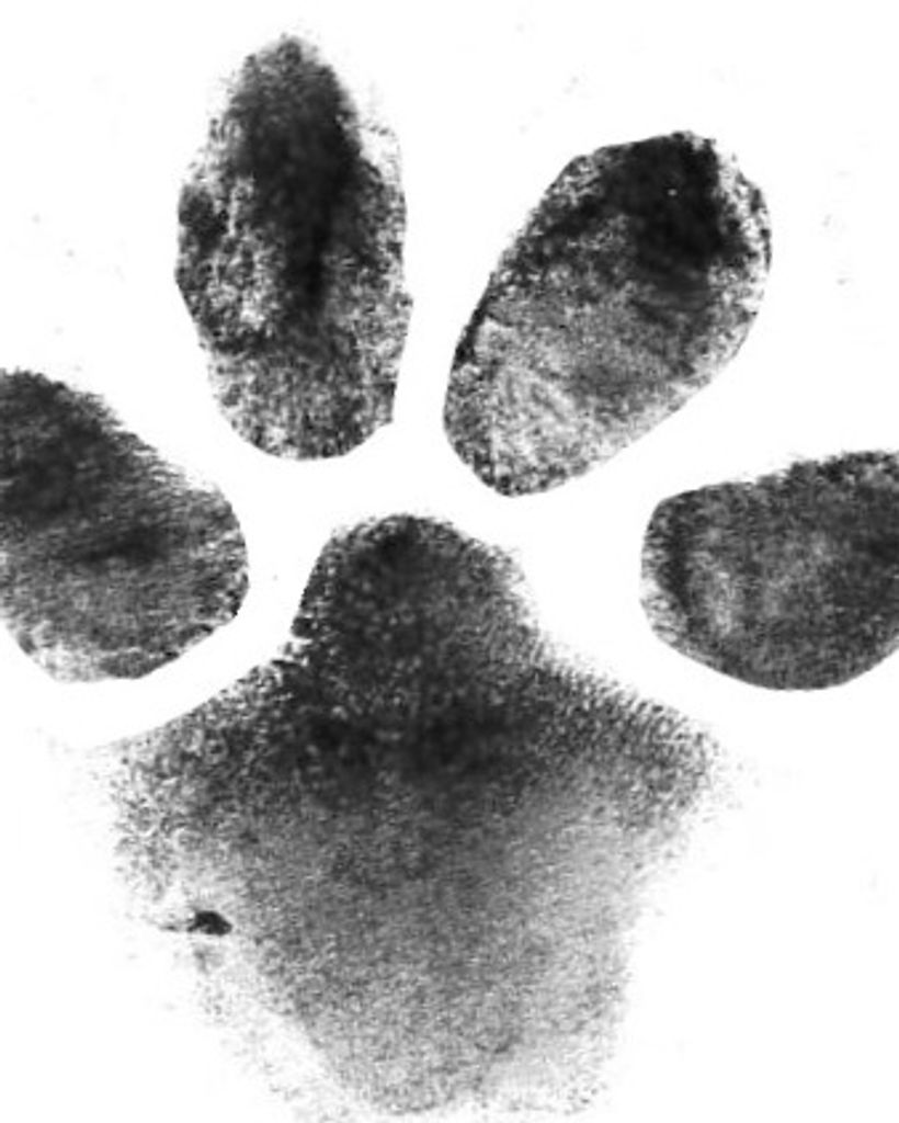 Vickie Flynn Profile Photo