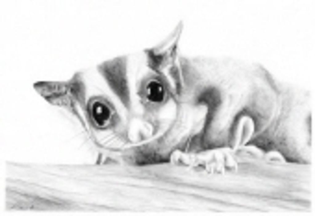 Lucy Mcdonald Profile Photo