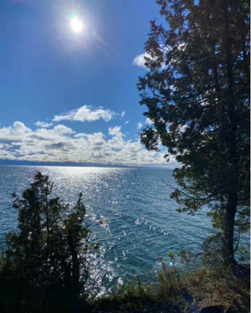 Tom Tagtmeier Profile Photo