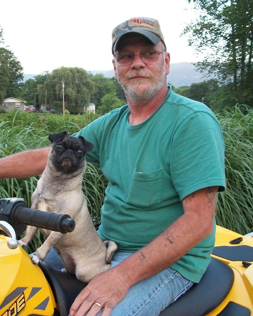 William "Bill" Houston Gill, Jr. Profile Photo