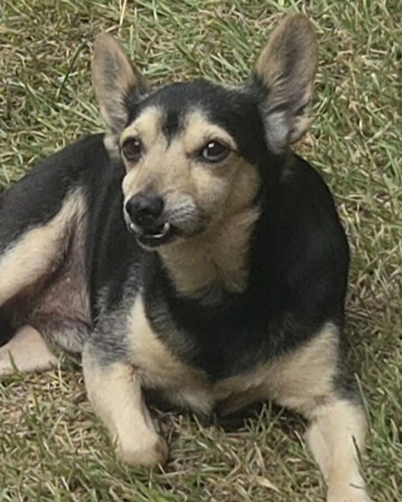 Zeus Billingsley Profile Photo