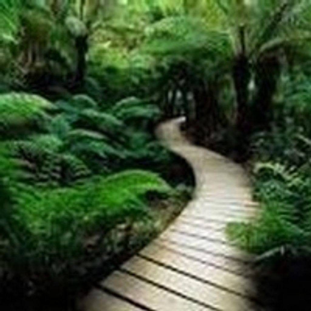 F. Auston Griffing, Iii