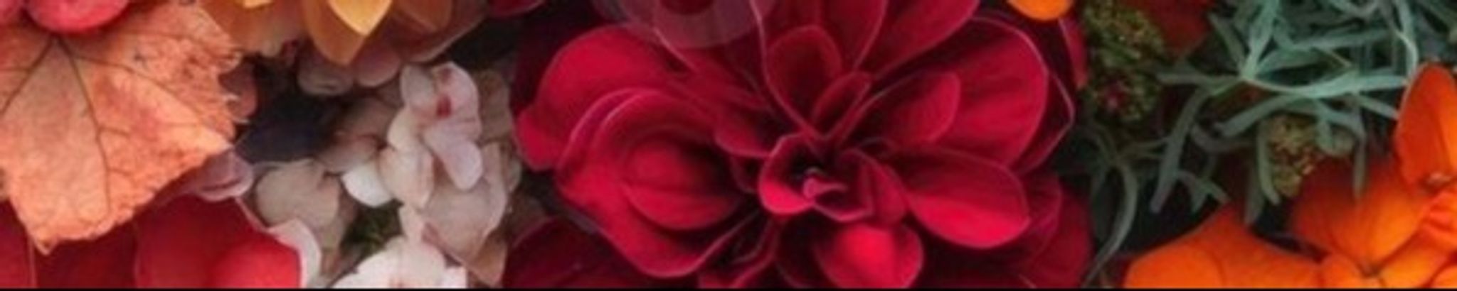 Cover for Brenda Sue (Harris) Folsom's Obituary