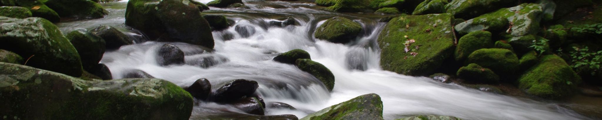 Cover for Robert F. Meyer's Obituary