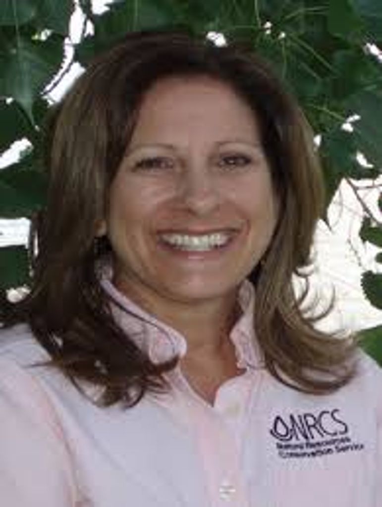 Phyllis Ann Philipps