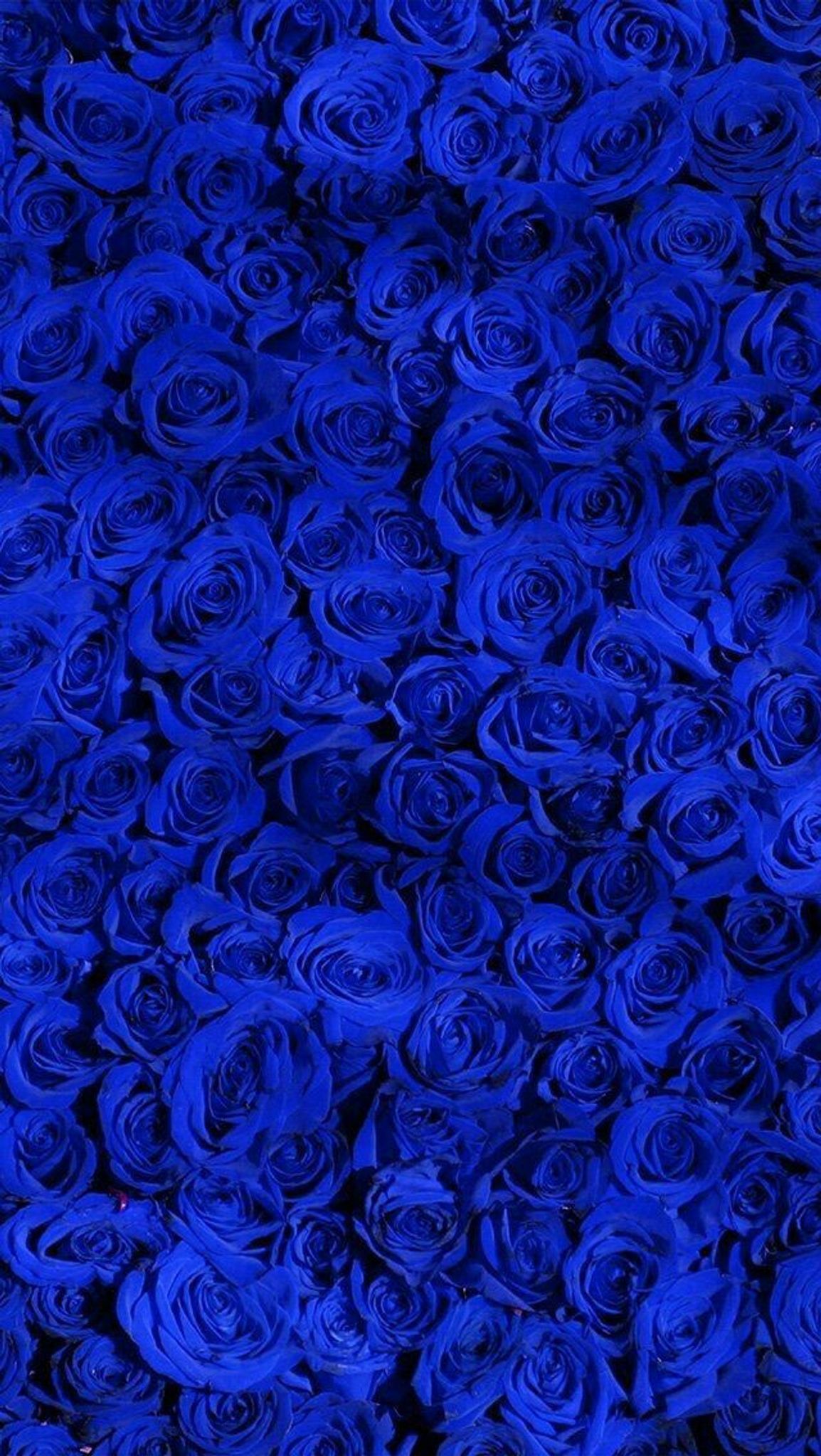 Cover for Breontae Jamel Mosley's Obituary