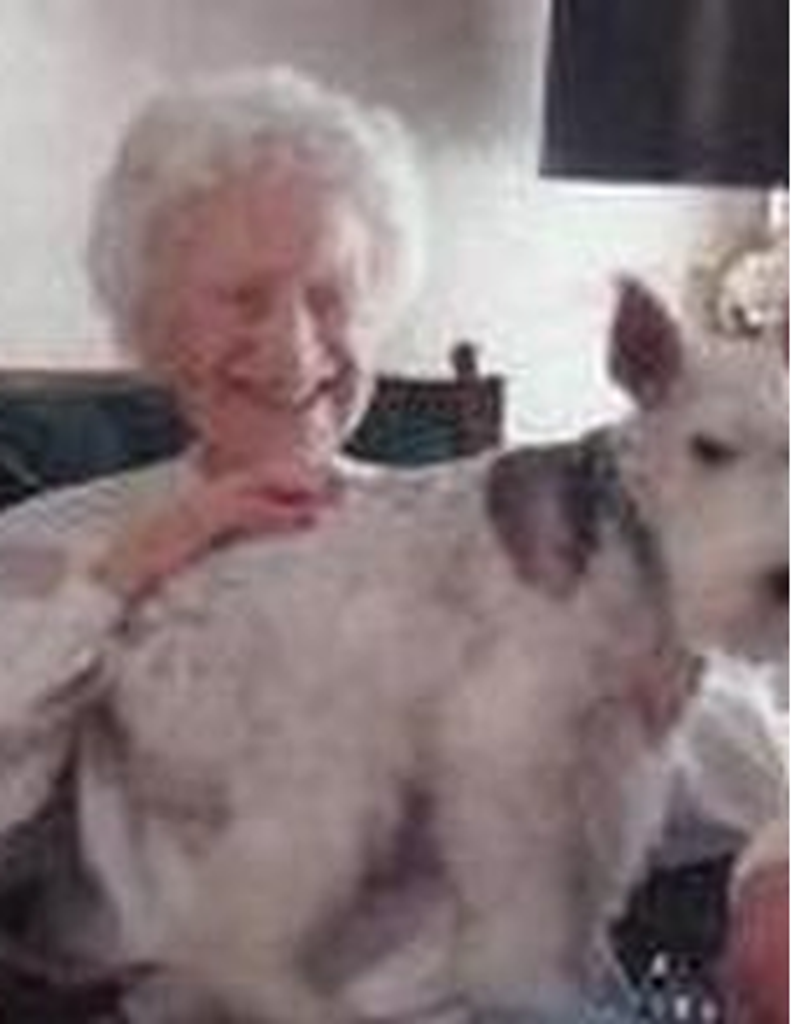 Aileen  E. Steadman