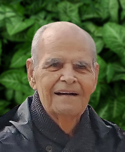 John R. Dovidio Profile Photo