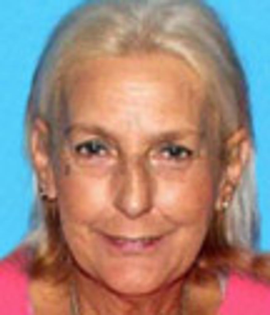 Sallie Ann Mason