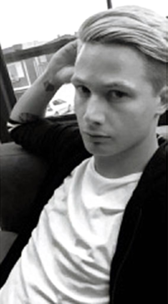 Trevor Nicholas Stephani