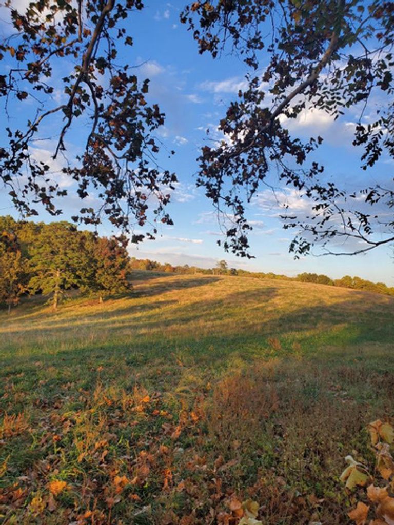 Christine Anne Vineyard Profile Photo