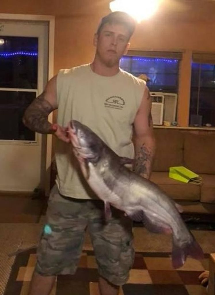 Endre Delyn Stampf Profile Photo