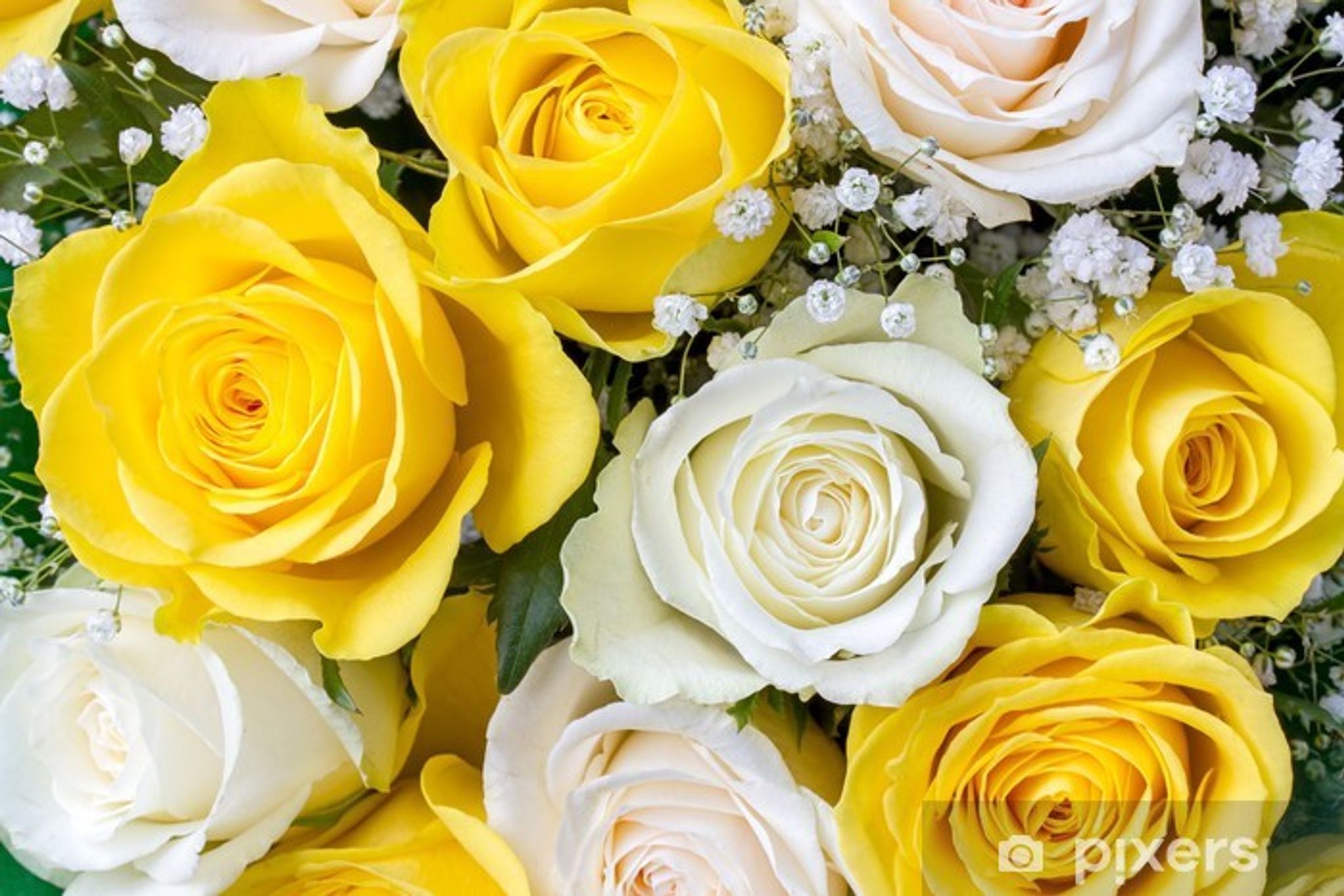 Cover photo for Linda Marie (Lemay) Wojceshonek's Obituary