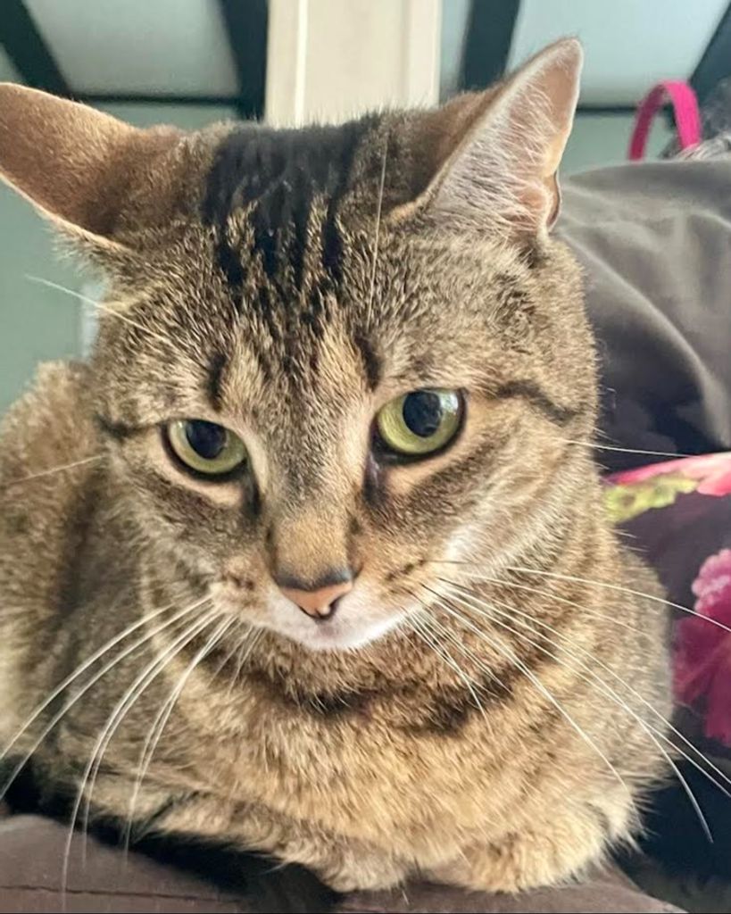 Juju Therrian Profile Photo